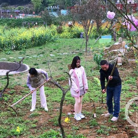 渝北区龙门村规划新动态