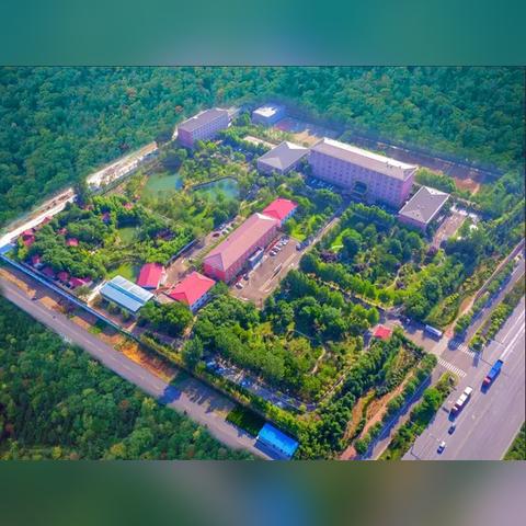 中组部村官政策最新解读