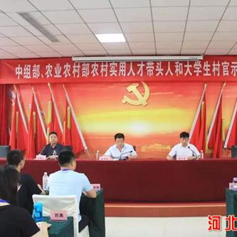 中组部村官政策最新解读