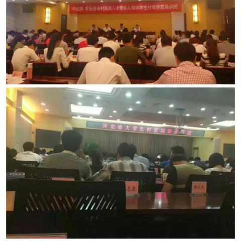 中组部村官政策最新解读