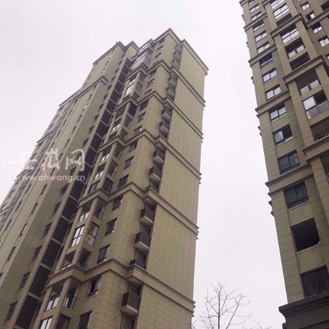 巢湖雍景湾最新更新资讯