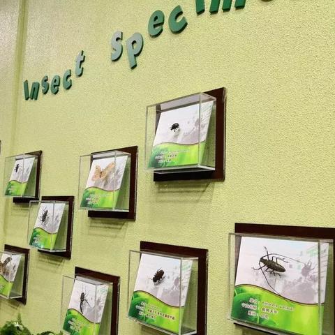 王国塔建设最新进展报告速递