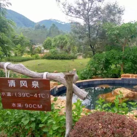 惠州映月城,最新报价及深度剖析