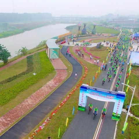 丹灶金沙司机招聘最新信息公告