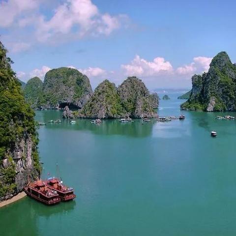 凭祥小苏斗鸡热血竞技,再现辉煌瞬间视频