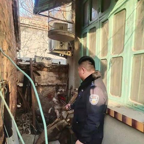 聊城禁养区最新通告消息