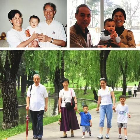 妈妈公车系列最新章节深度解析