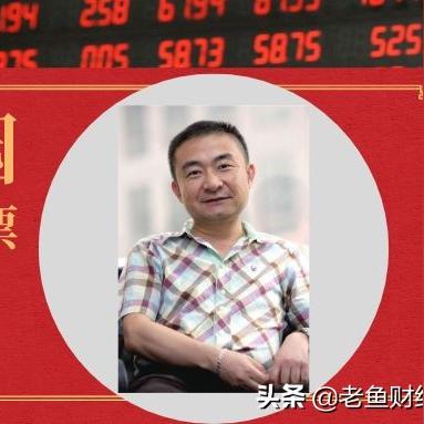 中国股神林园最新持股解析报告