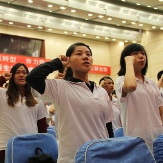 村医执业医师转正动态与趋势解析