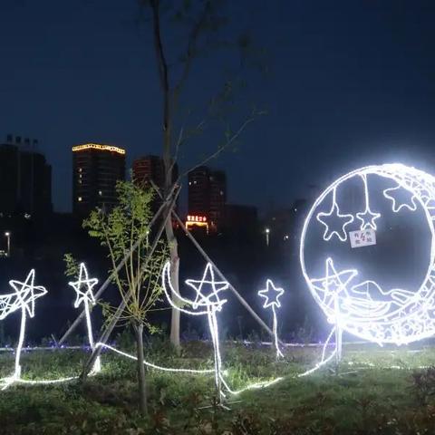 冒泡社区安卓版最新动态及特色解读