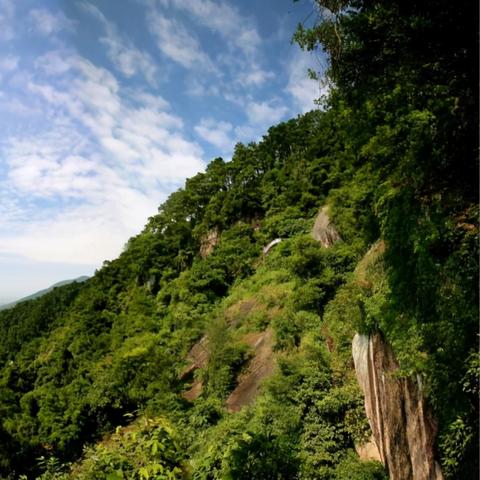 桂平三千城楼盘全面解读报告