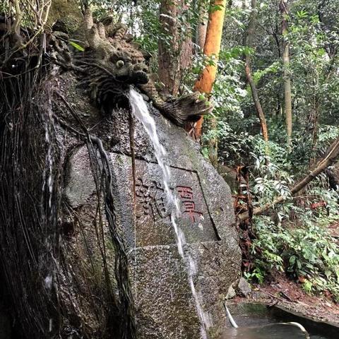 桂平三千城楼盘全面解读报告