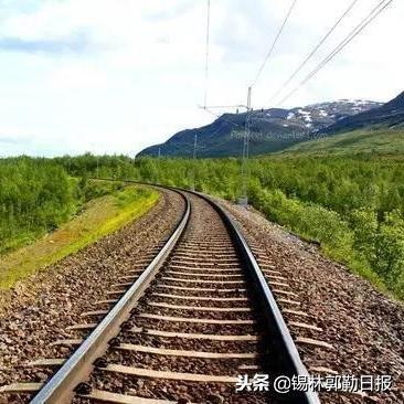 2025年95号汽油最新价格分析与预测