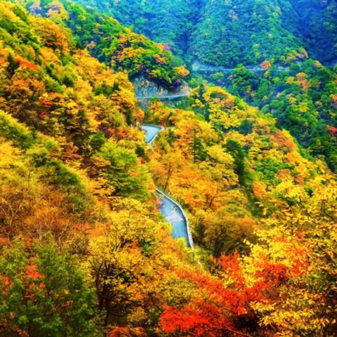 青春色彩交响曲，最新章节集结