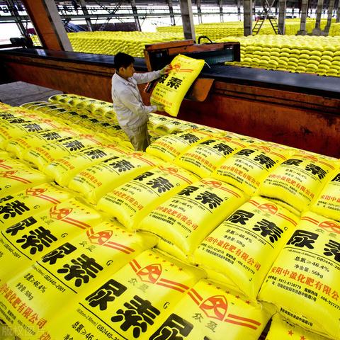 三宁化肥最新价格趋势分析（2025年展望）