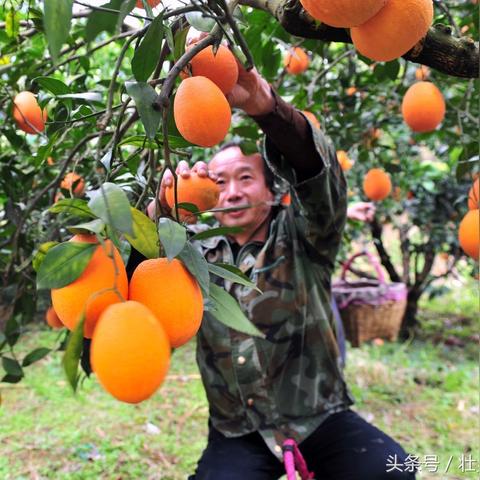 江西邮政最新人事任免动态