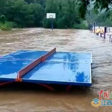 龙大线发车时刻表更新，乘车指南全攻略