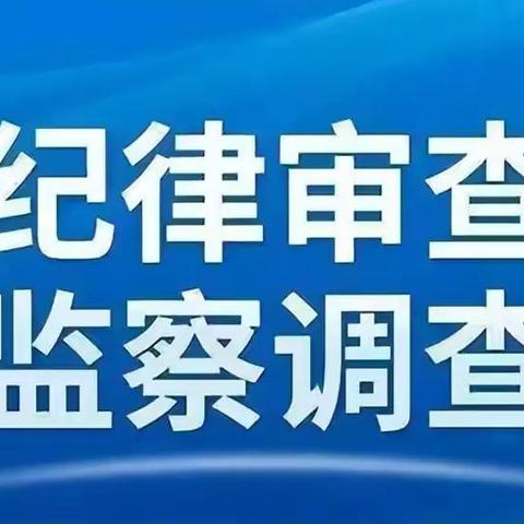 宜宾向辉礼现状报告更新