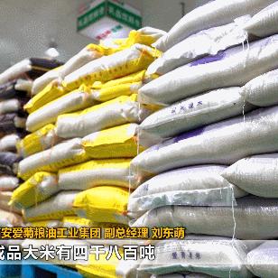 西安欣桥蔬菜行情最新价格概览