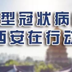 西安欣桥蔬菜行情最新价格概览