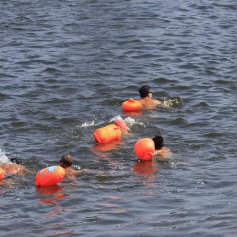 龙江快讯,黑河最新招聘信息全面解析