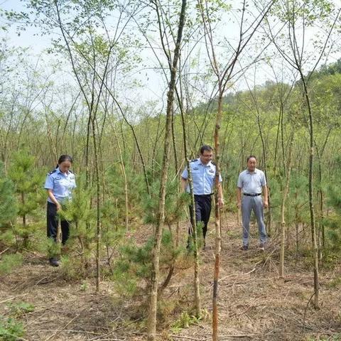 崇信五举煤矿最新进展消息