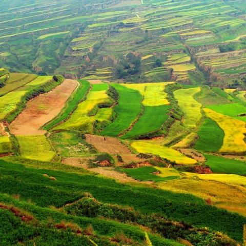 甘谷大石车祸最新报道