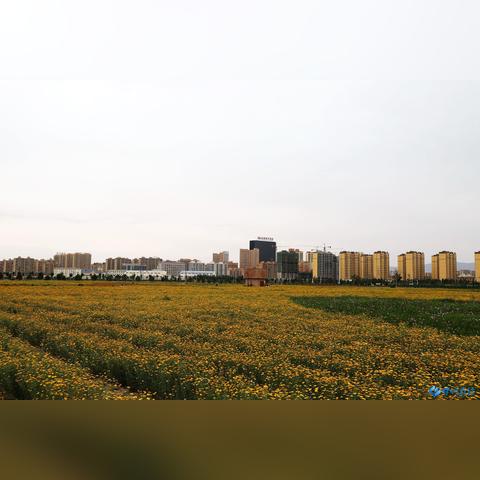 保定文津花园最新报价与市场趋势分析