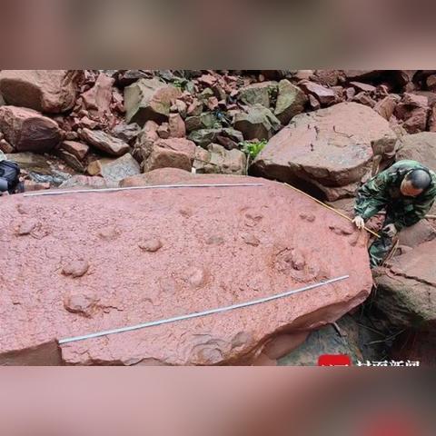 盘古团队最新动态更新