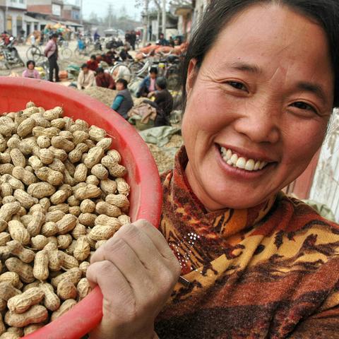 松原花生果行情最新价格解析