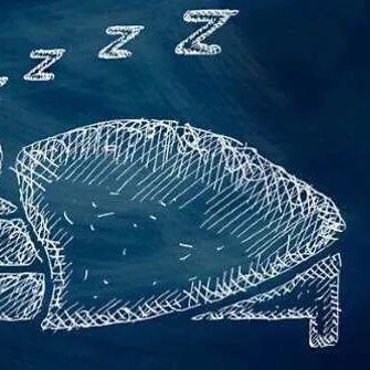 凤凰泊爱投资最新公告发布