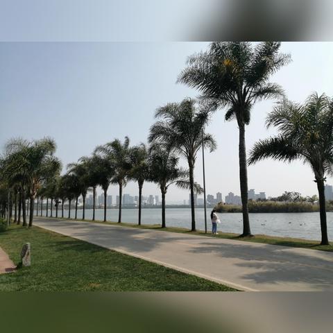 弥勒租房最新动态