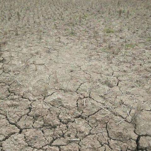 资阳领导班子最新名单公布