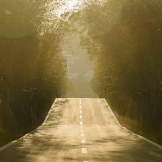 宁波未来市政规划蓝图,至2025年概览