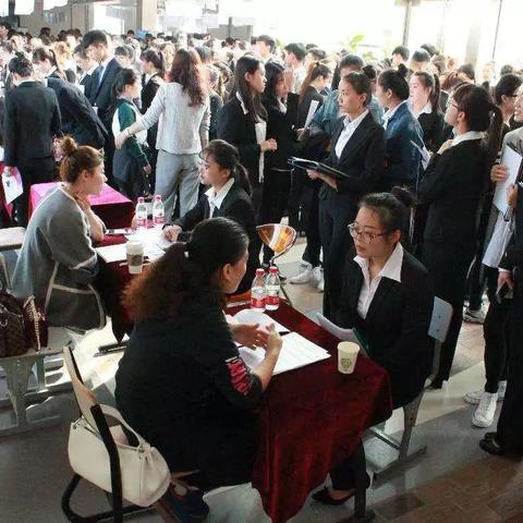 温州龙湾最新招聘信息全解析