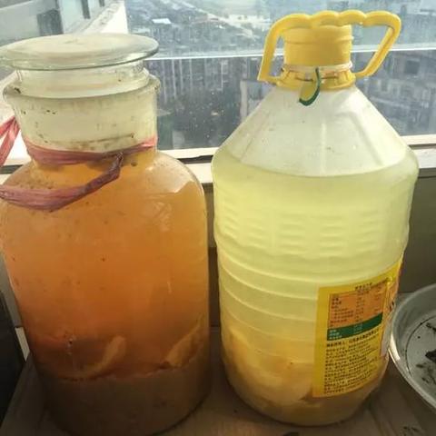 日照鸡蛋最新价格走势分析