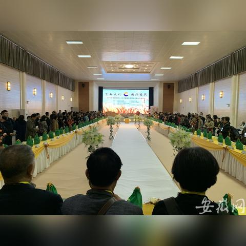 合肥殡仪馆最新消息更新