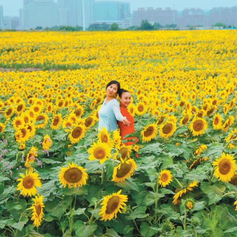 抚顺采沉区范围最新状况解析