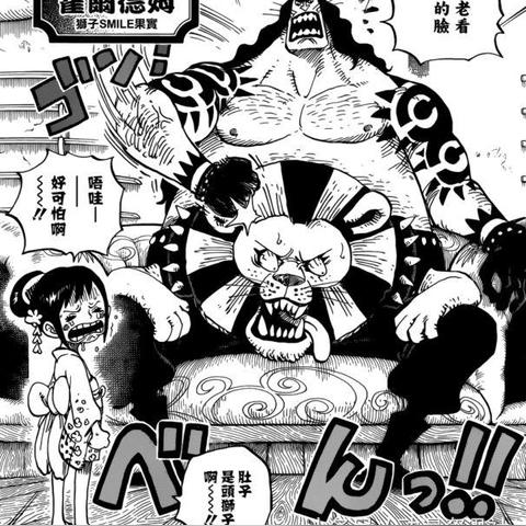 神秘力量探索之旅,恶魔果实自创版数据揭秘