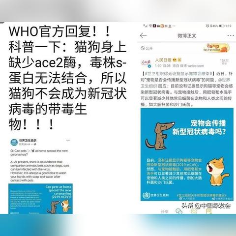 最新生猪屠宰检疫规程详解