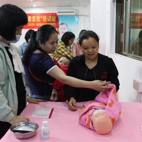 广州家政最新招聘信息全解析