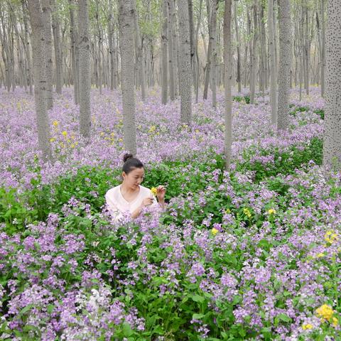 兰张三四线最新进展消息