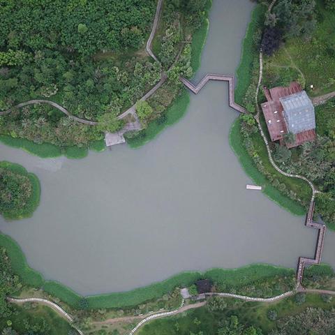 绵阳元通公园新貌，自然与现代的和谐融合