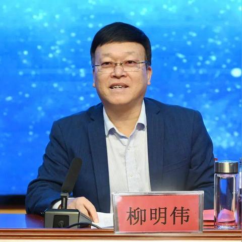 医圣传承最新章节更新概览