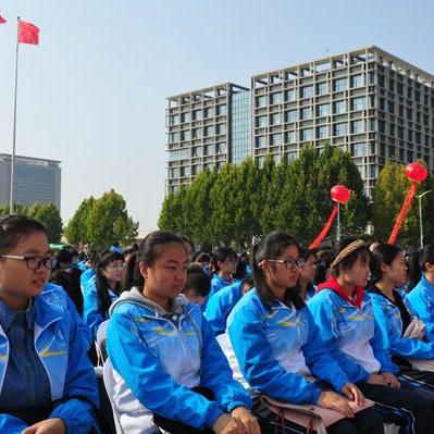 医圣传承最新章节更新概览