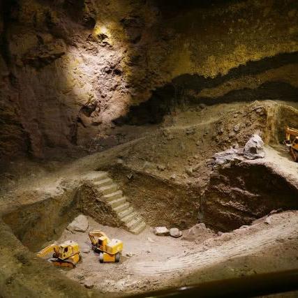 银杏果价格动态,市场分析预测