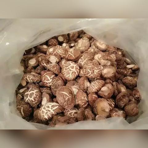 银杏果价格动态,市场分析预测