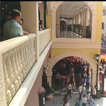 西鹿角新城最新动态深度剖析