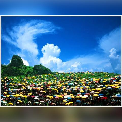 北亚资源最新动态深度解读