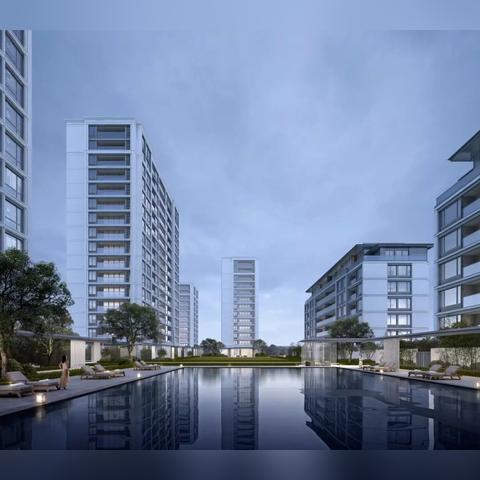 绿城杨柳郡最新动态更新！